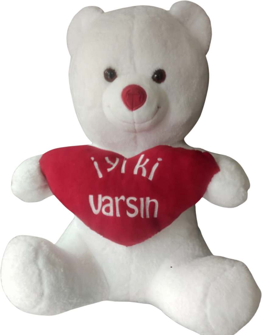 Darıca Hediye Çiçek Kombinasyonu - İyi ki varsın Ayıcık